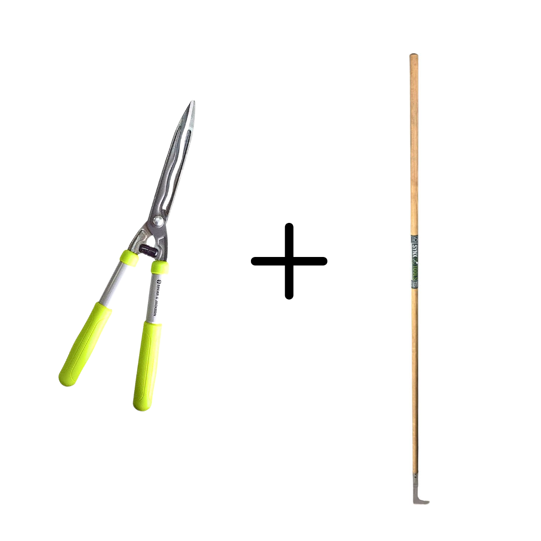 Spear & Jackson Heggenschaar 55509G Groen + Synx Tools Voegenmes RVS - Takkenscharen - snoeizaag - onkruidmes - voegenkrabber met steel 150cm