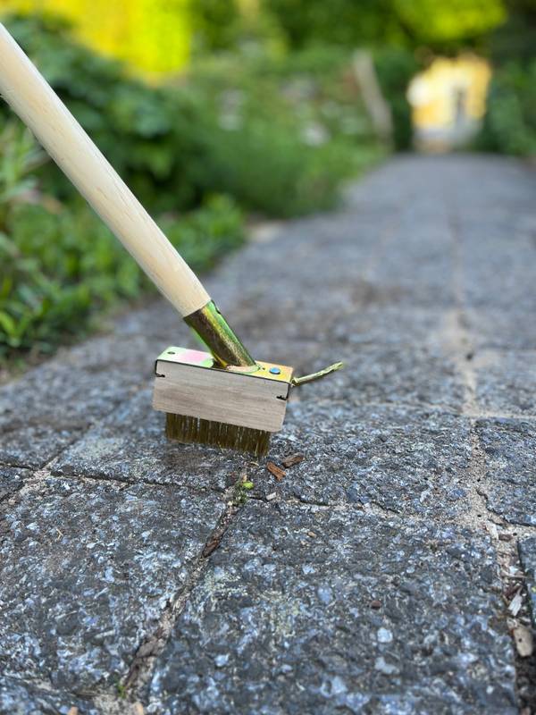 Brosses à joints Synx - Désherbants - Avec support et manche 160 cm